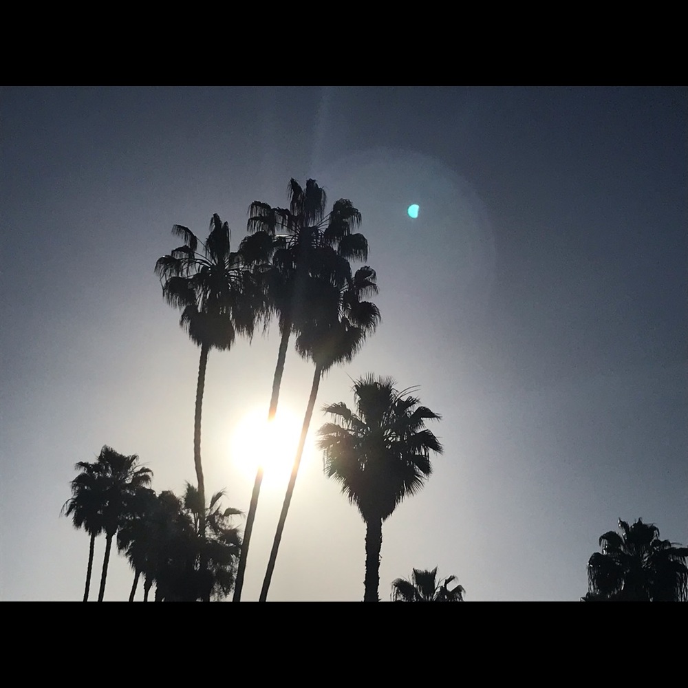 Meet your Posher, Ricci